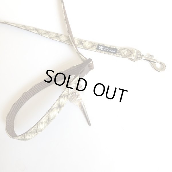 画像2: リード (2)