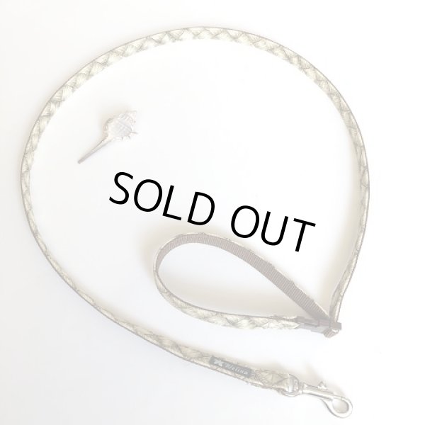 画像1: リード (1)