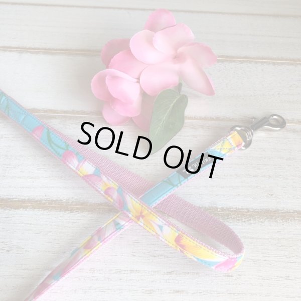 画像6: リード (6)