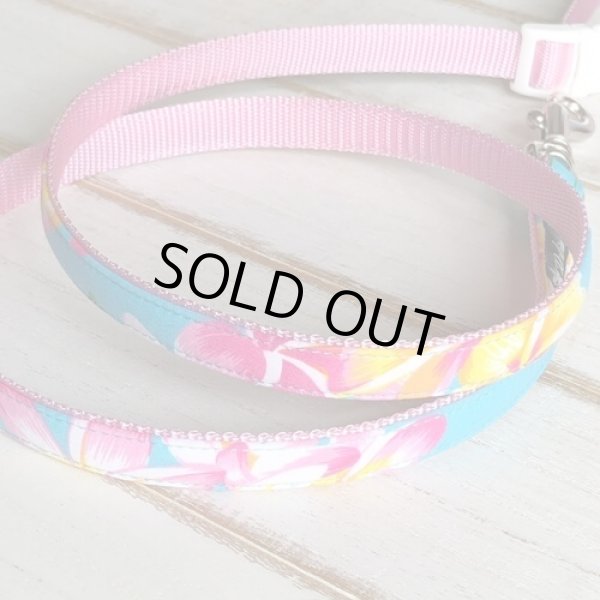 画像4: リード (4)