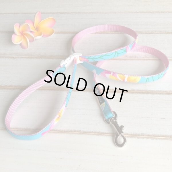 画像5: リード (5)