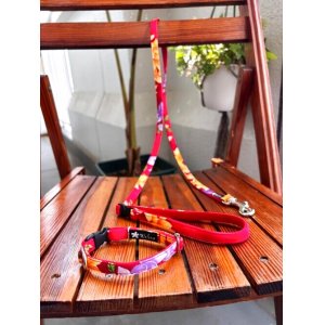 画像: お得な首輪とリードのセット