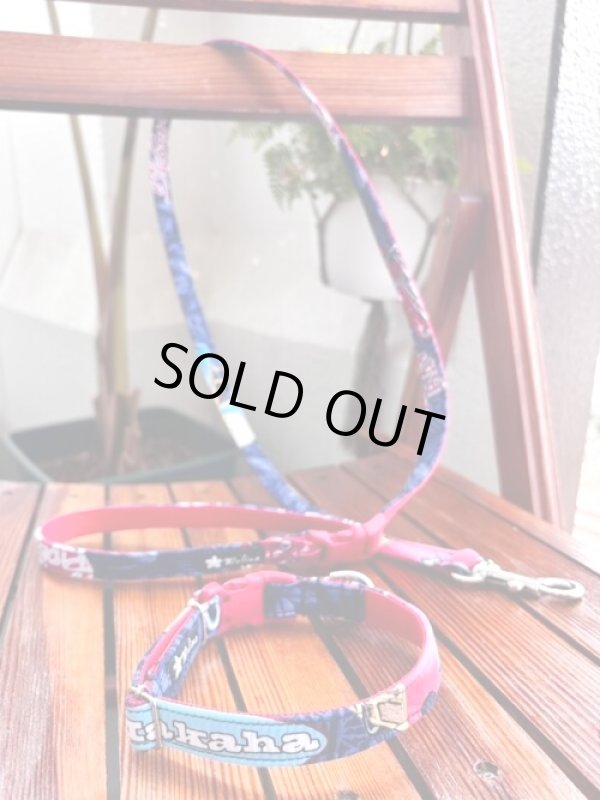 画像1: お得な首輪とリードのセット (1)