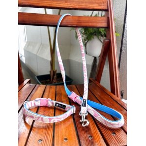 画像: お得な首輪とリードのセット