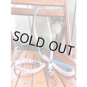 画像: お得な首輪とリードのセット