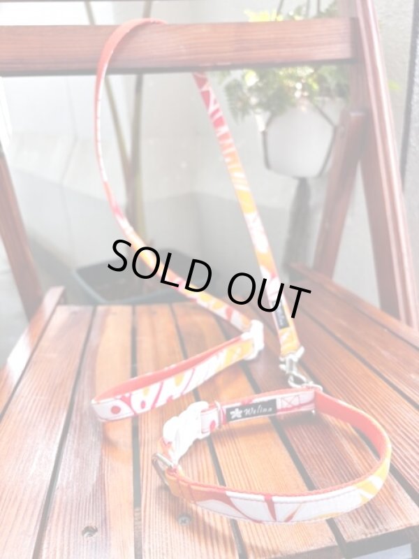 画像1: お得な首輪とリードのセット (1)