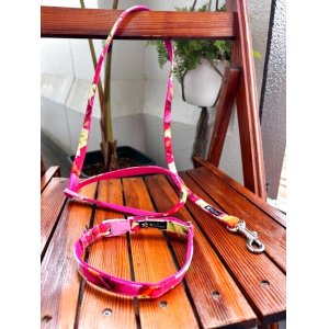 画像: お得な首輪とリードのセット