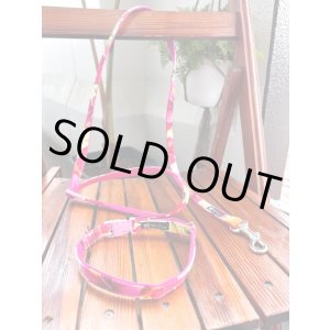 画像: お得な首輪とリードのセット