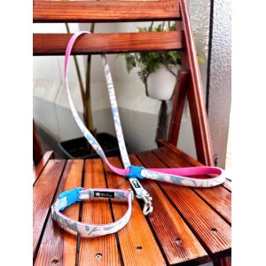 画像: お得な首輪とリードのセット