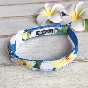 画像: ドッグカラー