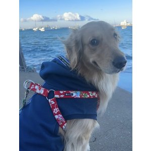 画像: ハーネス