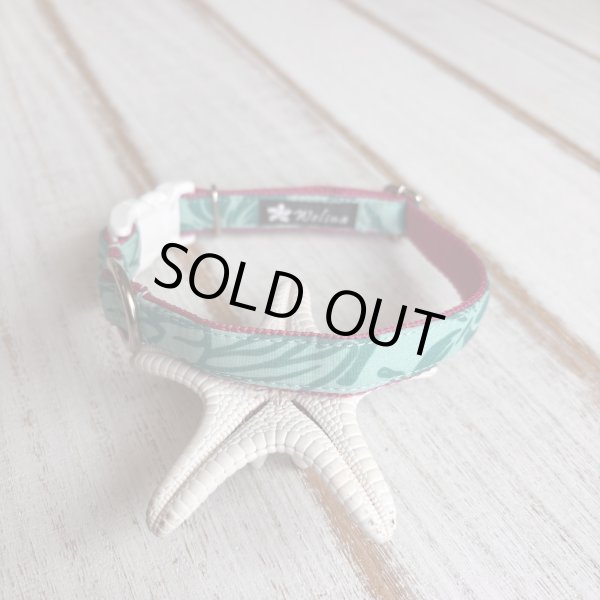 画像1: ドッグカラー (1)