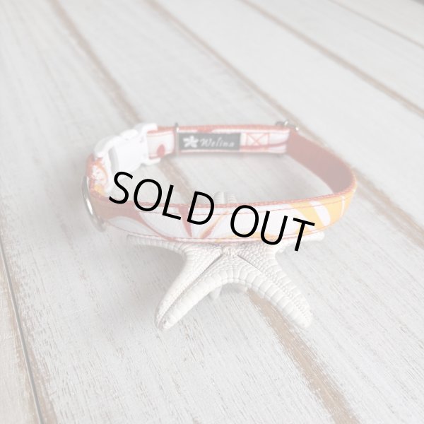 画像1: ドッグカラー (1)