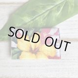 画像: カードケース