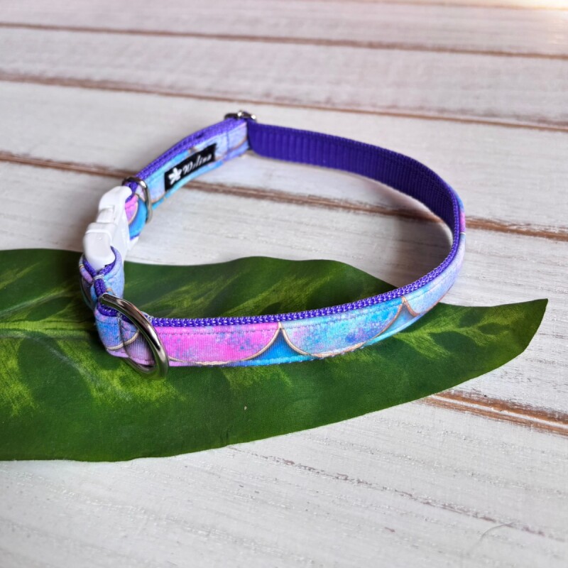 画像3: ドッグカラー (3)