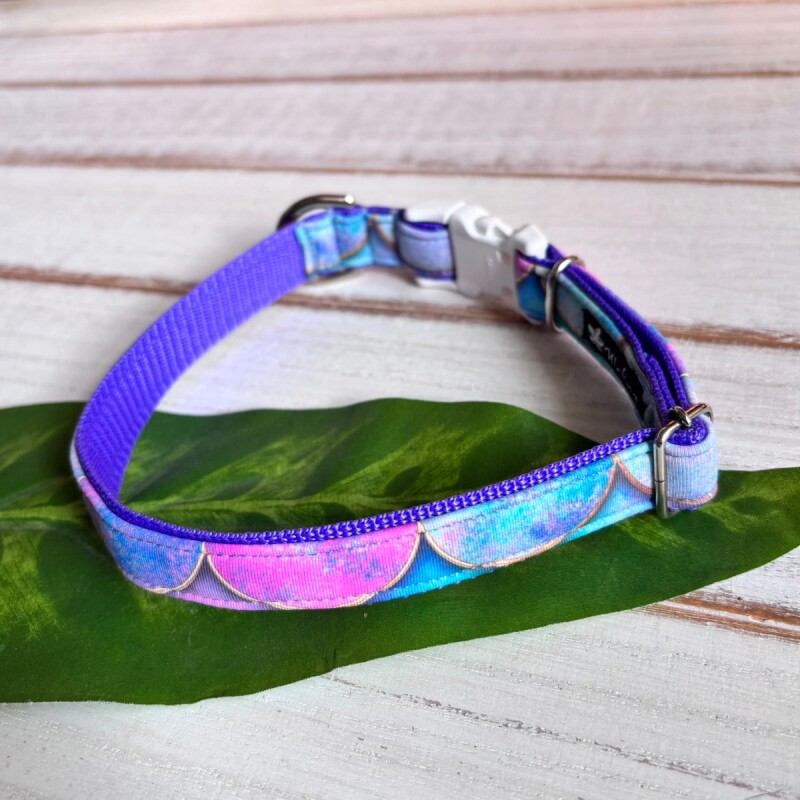 画像1: ドッグカラー (1)