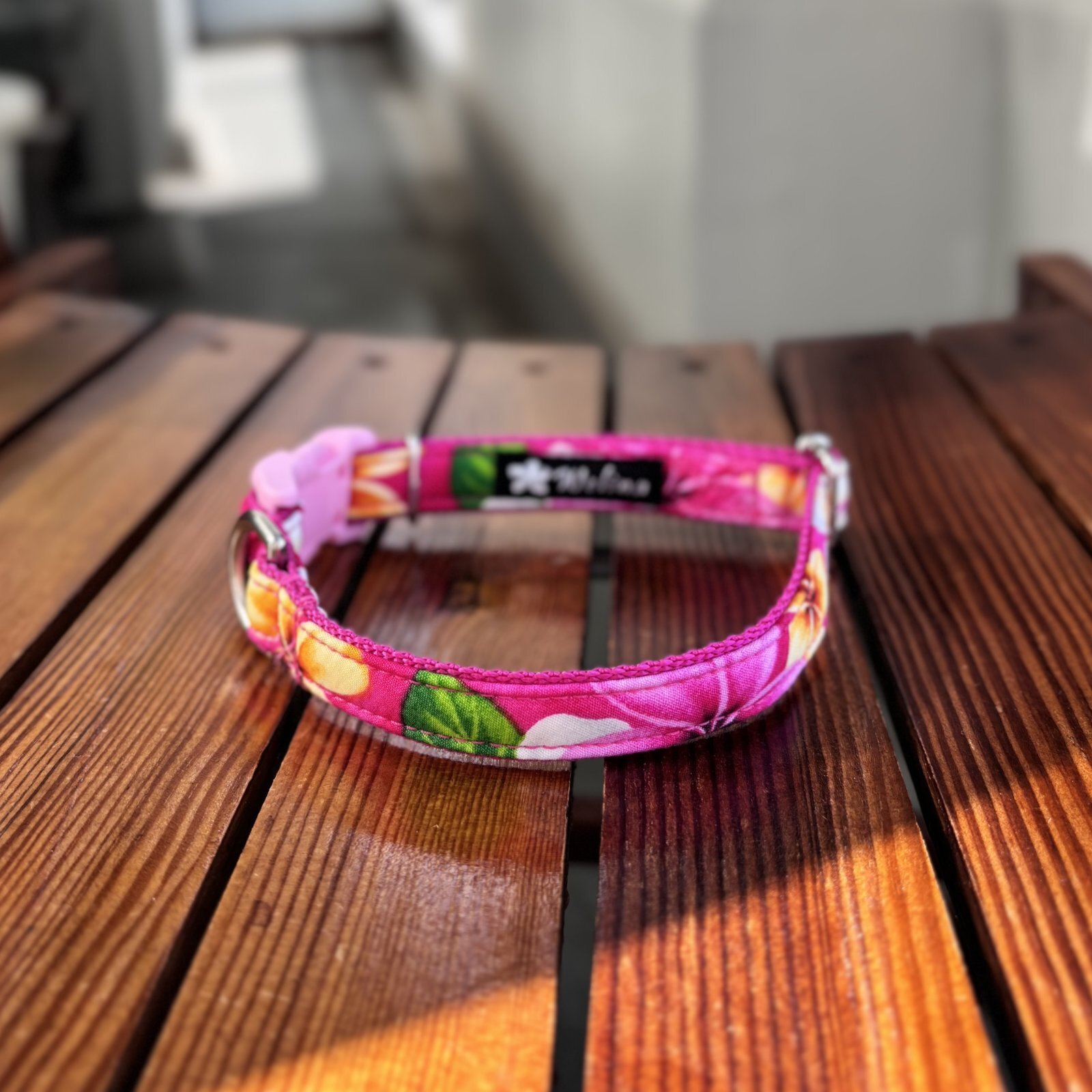 画像1: ドッグカラー (1)