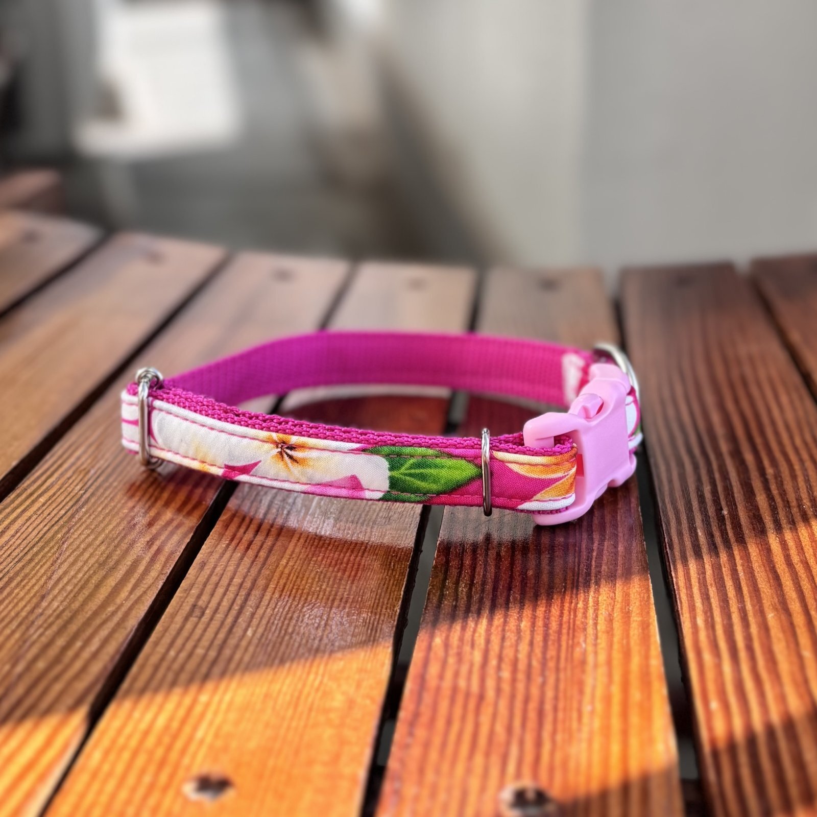 画像3: ドッグカラー (3)