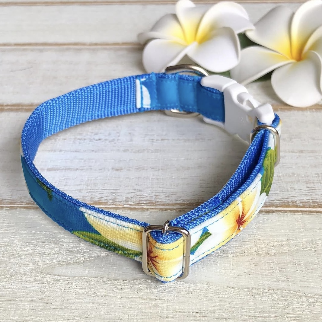 画像2: ドッグカラー (2)