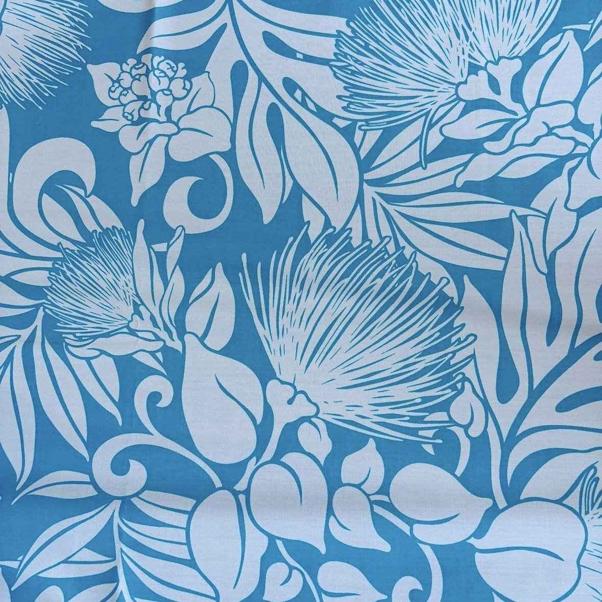 画像4: ドッグカラー (4)