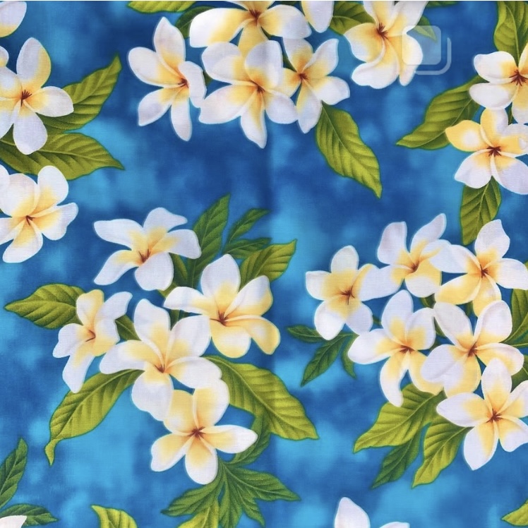 画像4: ドッグカラー (4)