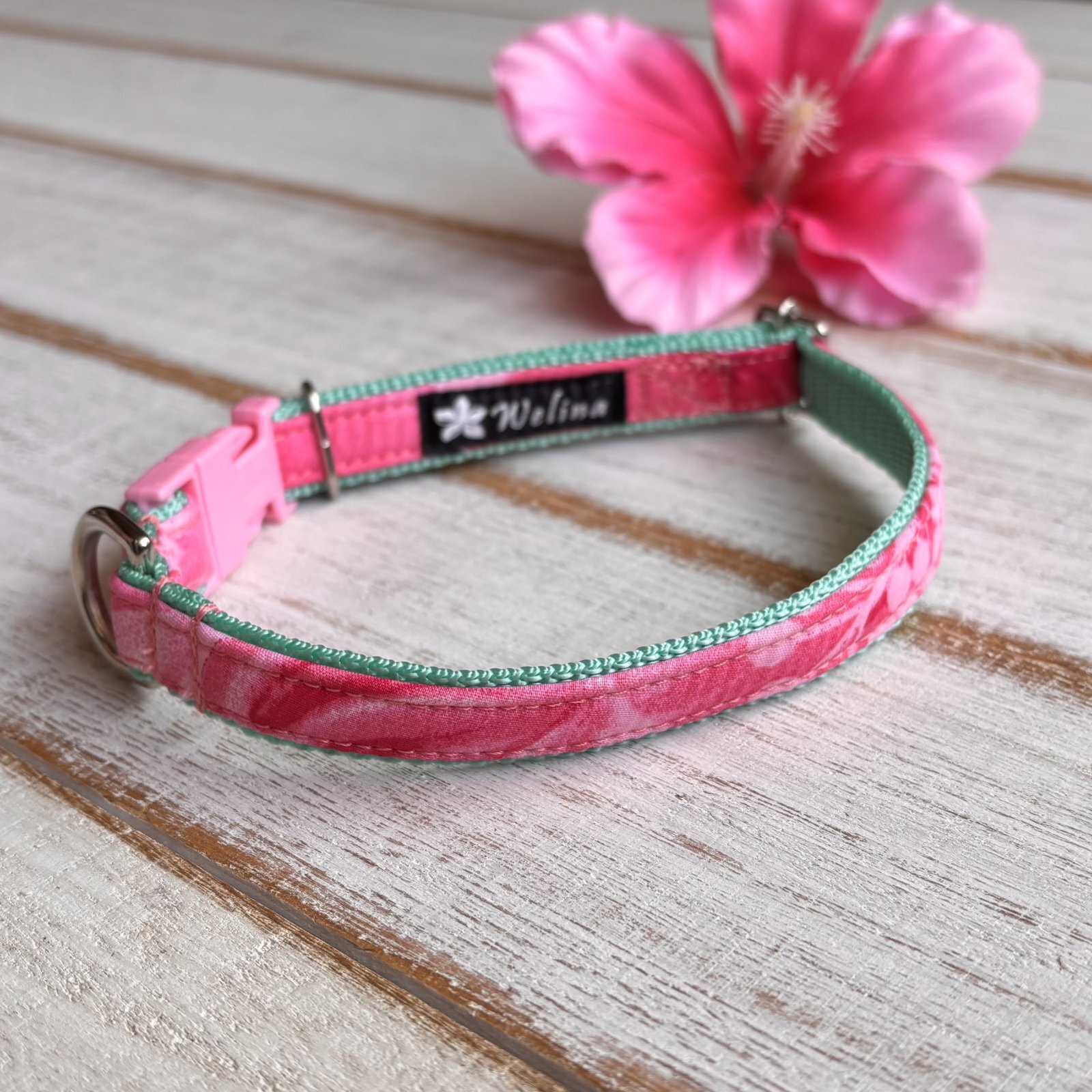 画像1: ドッグカラー (1)