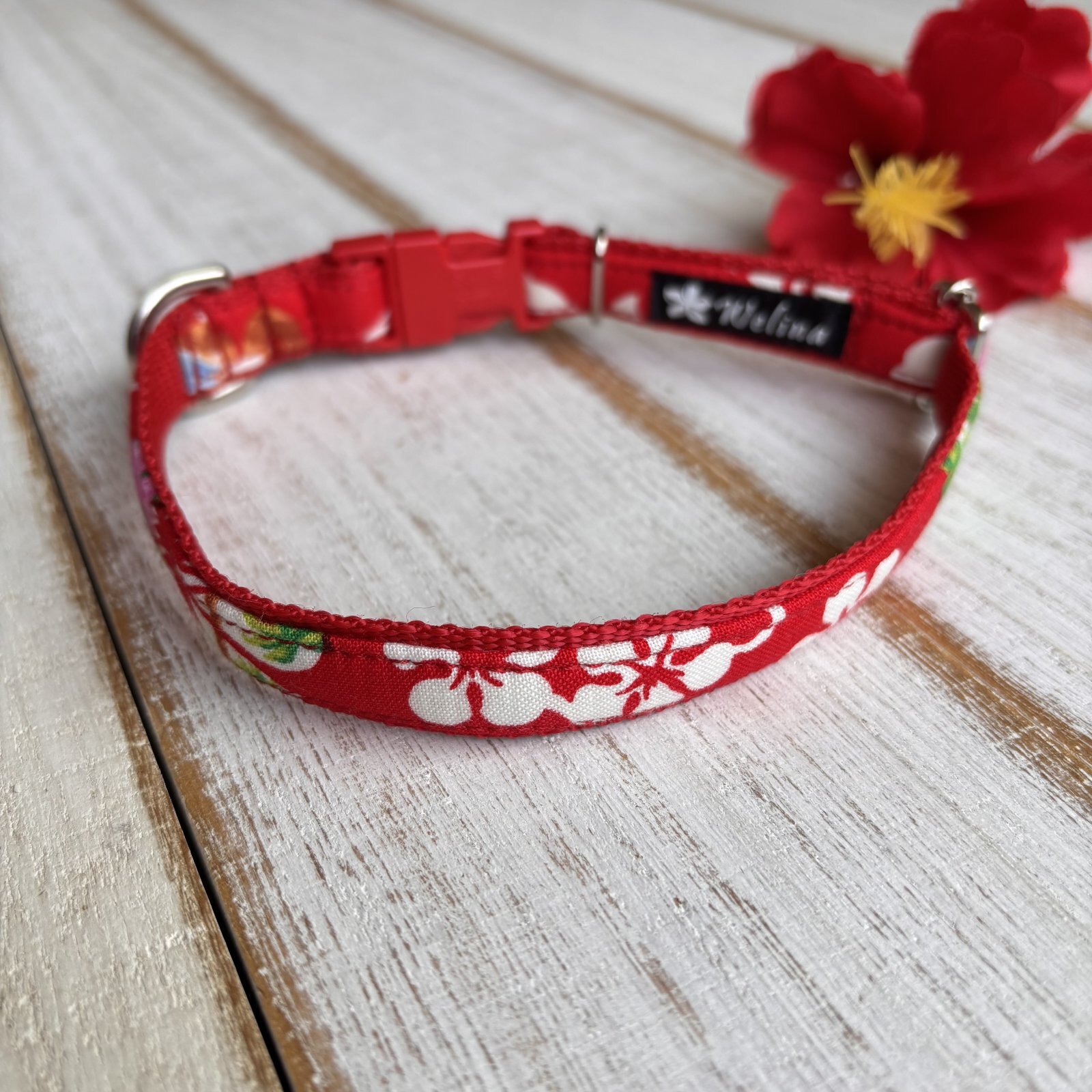 画像1: ドッグカラー (1)