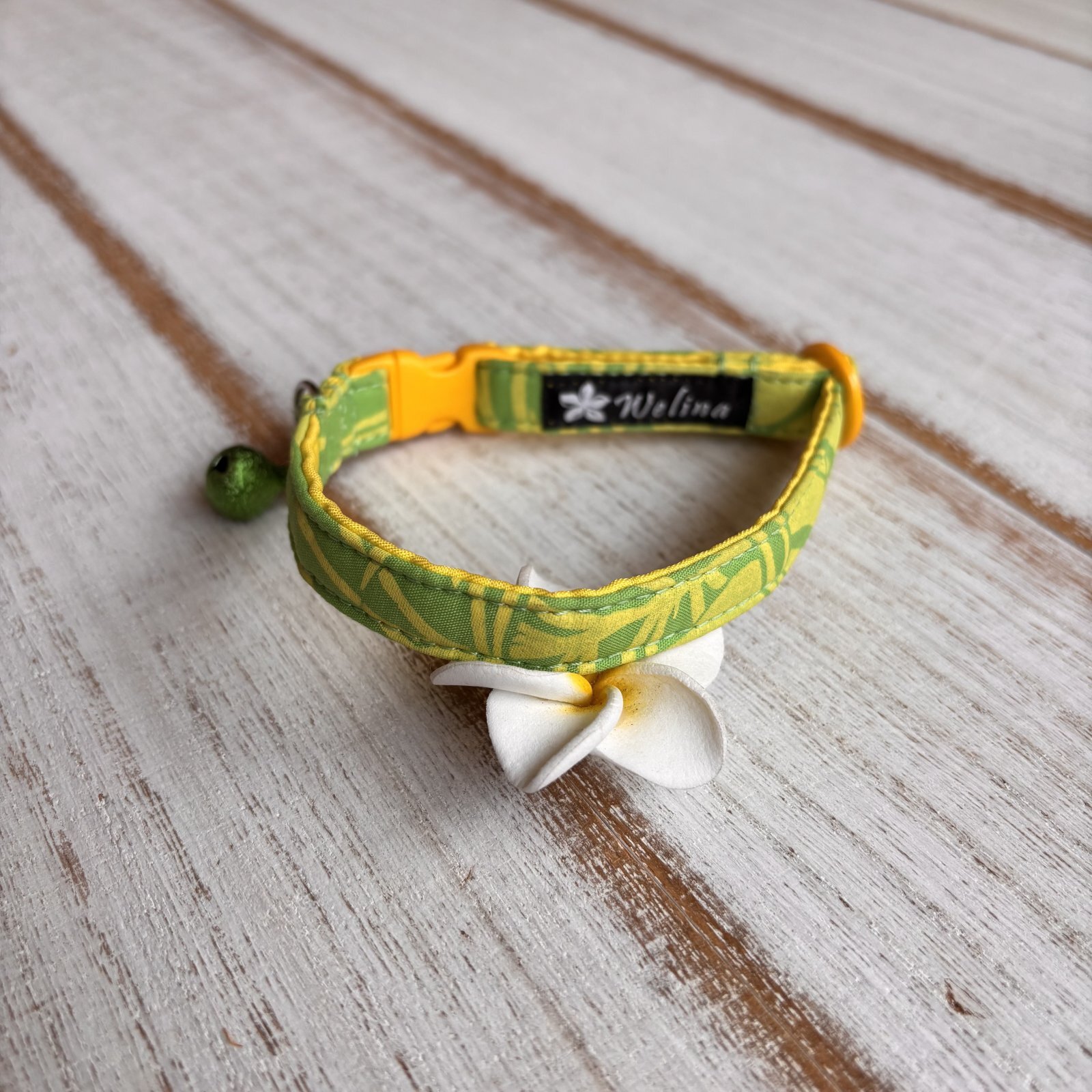 画像1: キャットカラー (1)