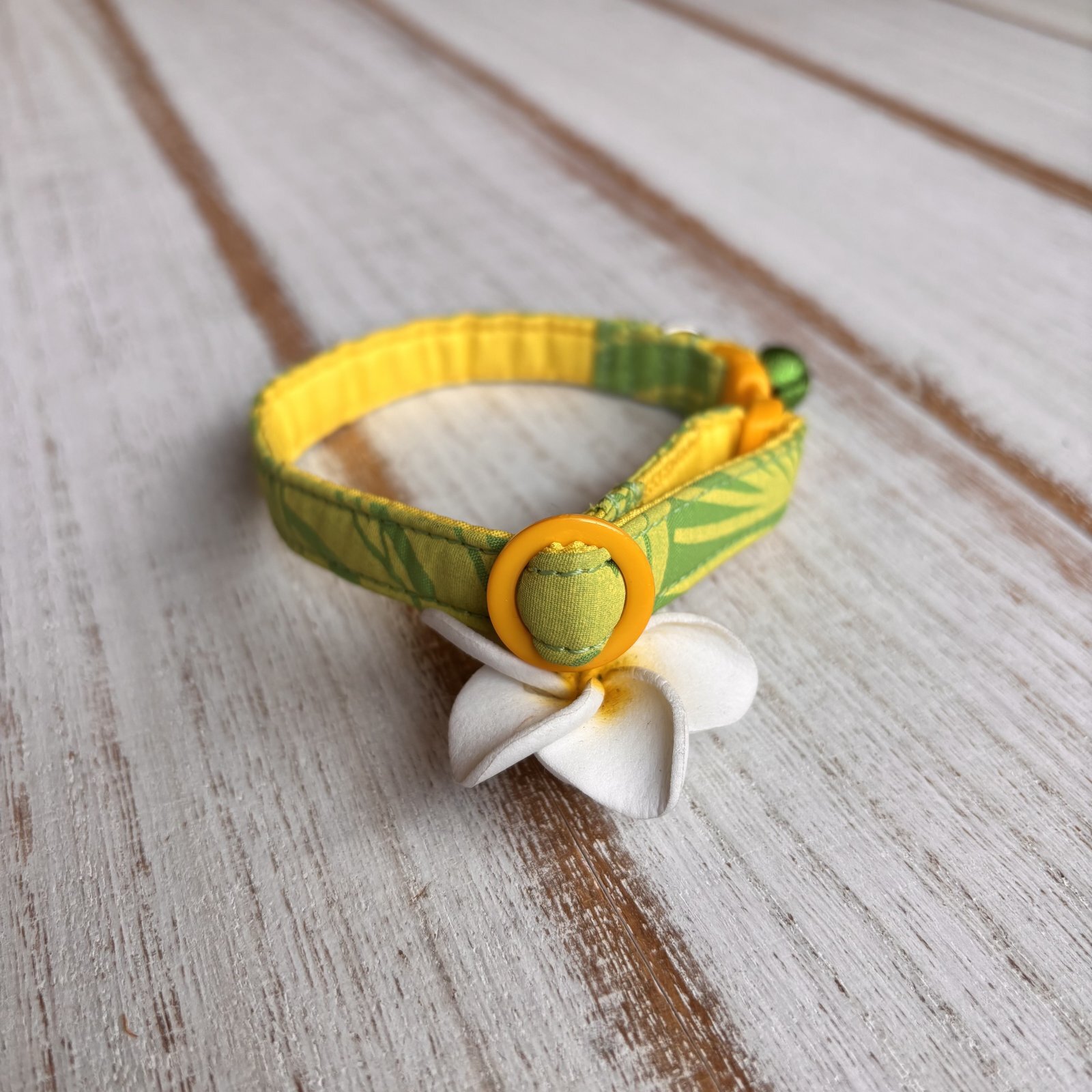 画像2: キャットカラー (2)