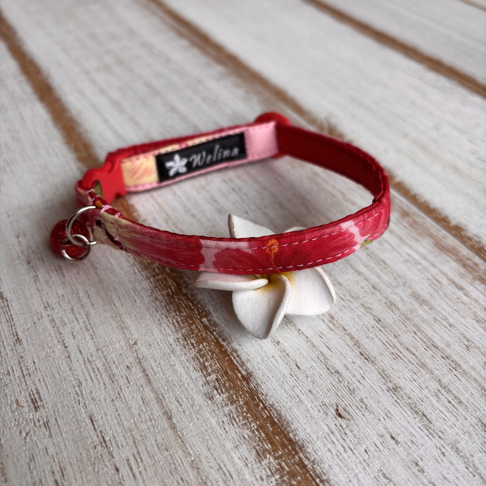 画像1: キャットカラー (1)