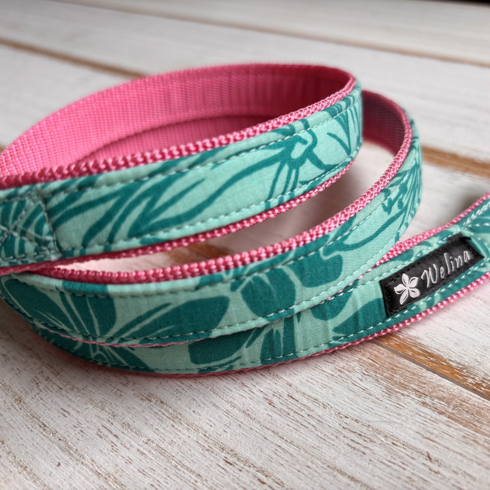 画像3: ドッグリード (3)