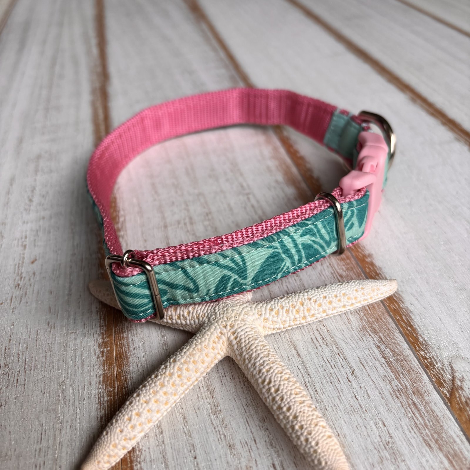 画像2: ドッグカラー (2)