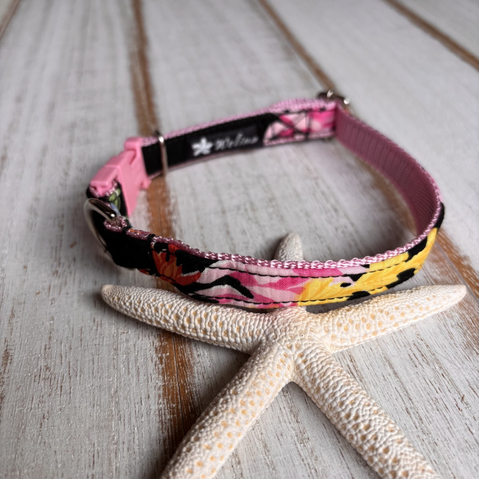 画像1: ドッグカラー (1)